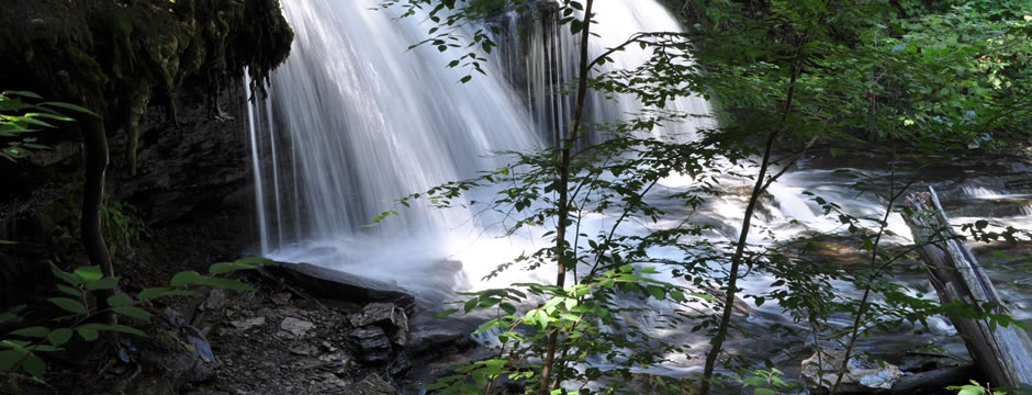 可靠的自助购买网站的轰炸电话在线下单